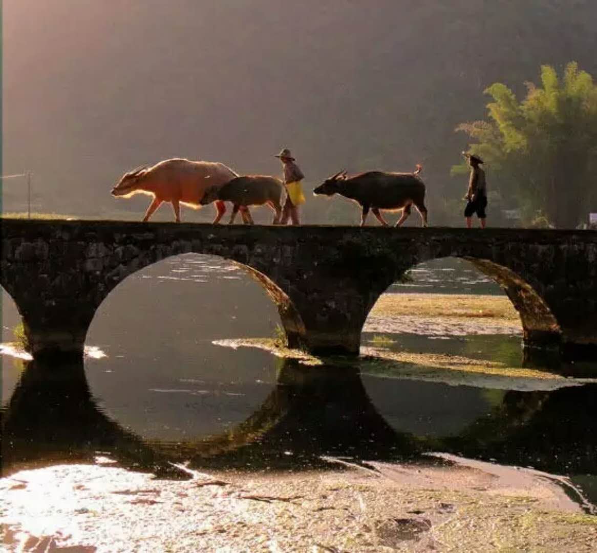 自然美景探索之旅 第12页