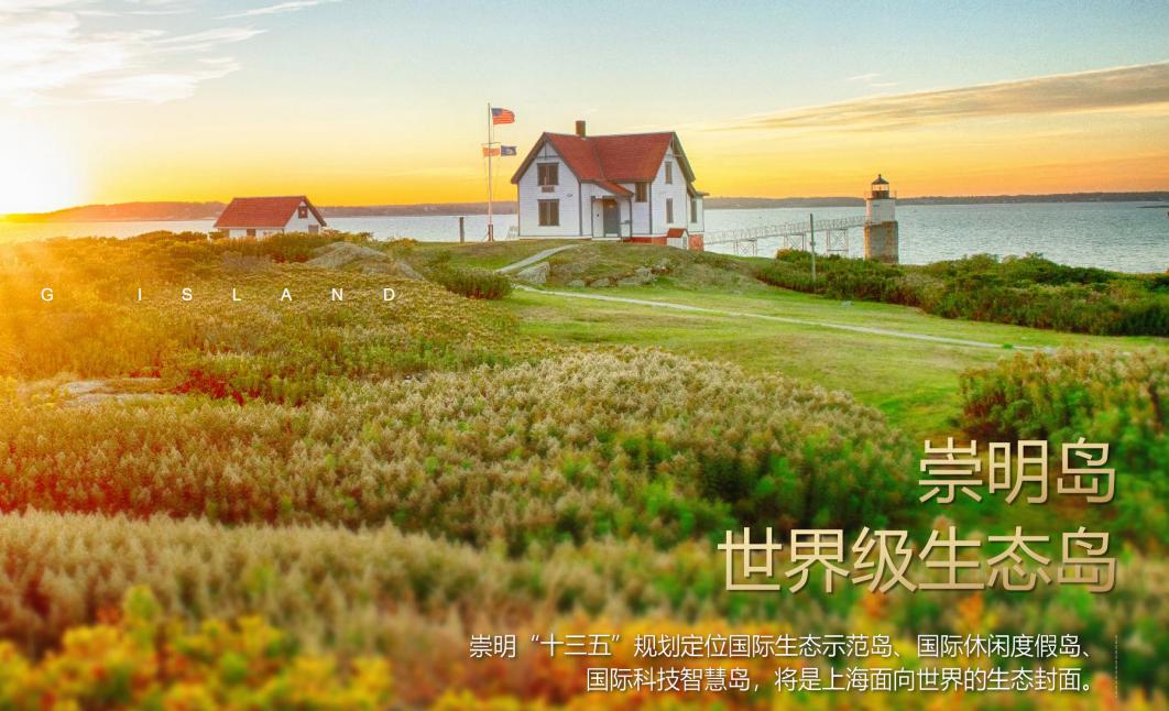 崇明房价走势最新消息，趋势分析与预测