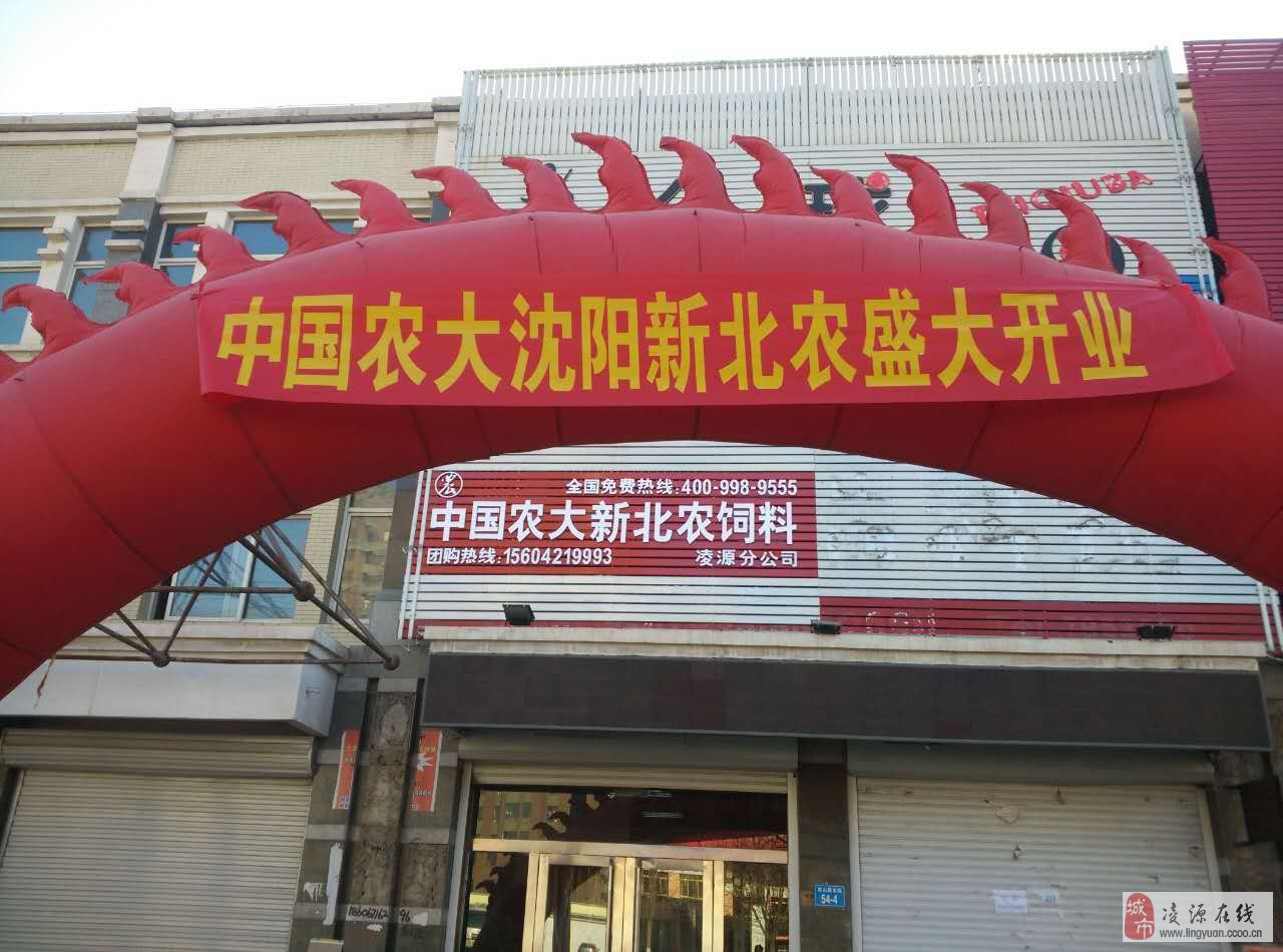 第4492页