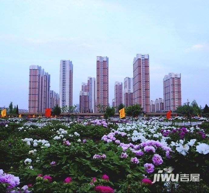 顺安牡丹城最新房价动态解析及趋势预测