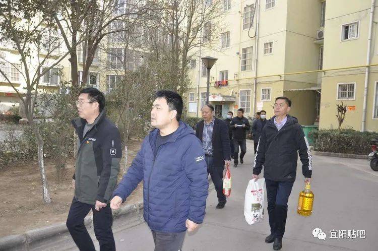宜阳贴吧最新消息全面解析与探讨