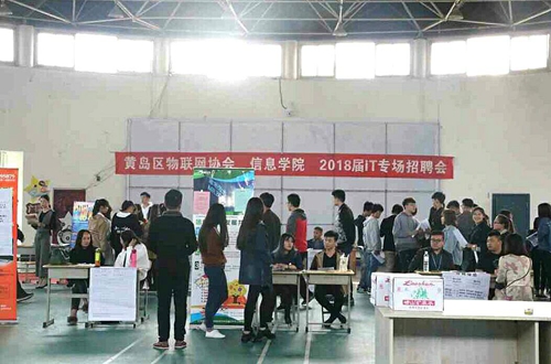 黄岛威伯科最新招聘动态，影响与展望