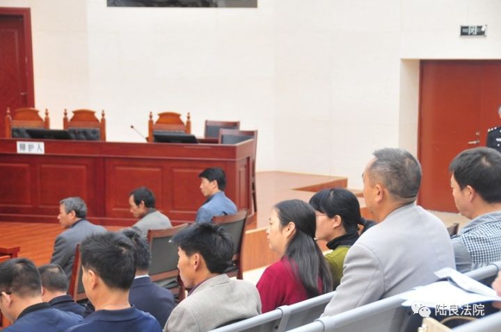 农村反腐新进展揭秘，村官反腐斗争最新动态与拍蝇行动更新消息