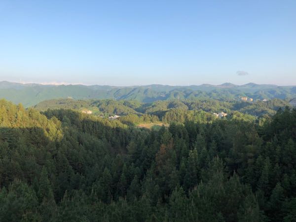 利川苏马荡最新房价分析与展望，未来趋势及投资前景探讨