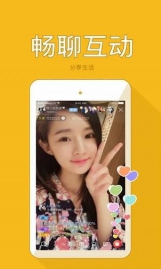 第4466页