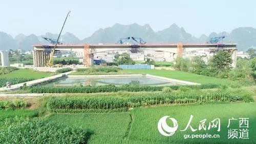 广西金城江最新消息概览，最新动态与资讯速递