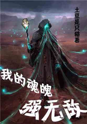 热血狂潮再起，南狂叶凡最新章节