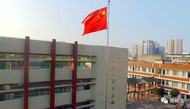 柳州会计招聘最新动态，行业趋势、人才需求洞察与最新职位信息