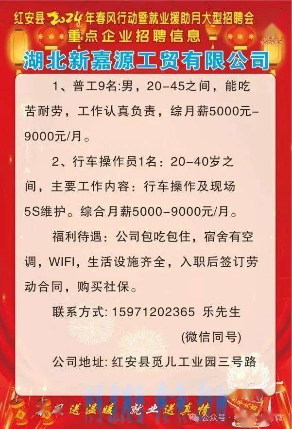 红安最新招聘动态，影响与趋势分析