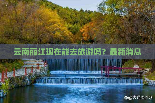 职务犯罪辩解 第907页