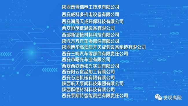 高陵最新招聘信息全面概览
