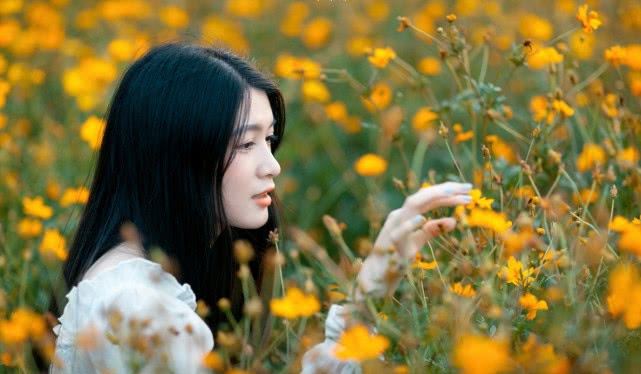 春花焰棋手与棋子的心灵之旅，一场自然美景中的情感邂逅
