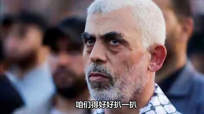 美国对辛瓦尔情报支持揭秘，详细步骤指南