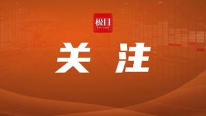 AI是否是今年诺贝尔奖的最大赢家？