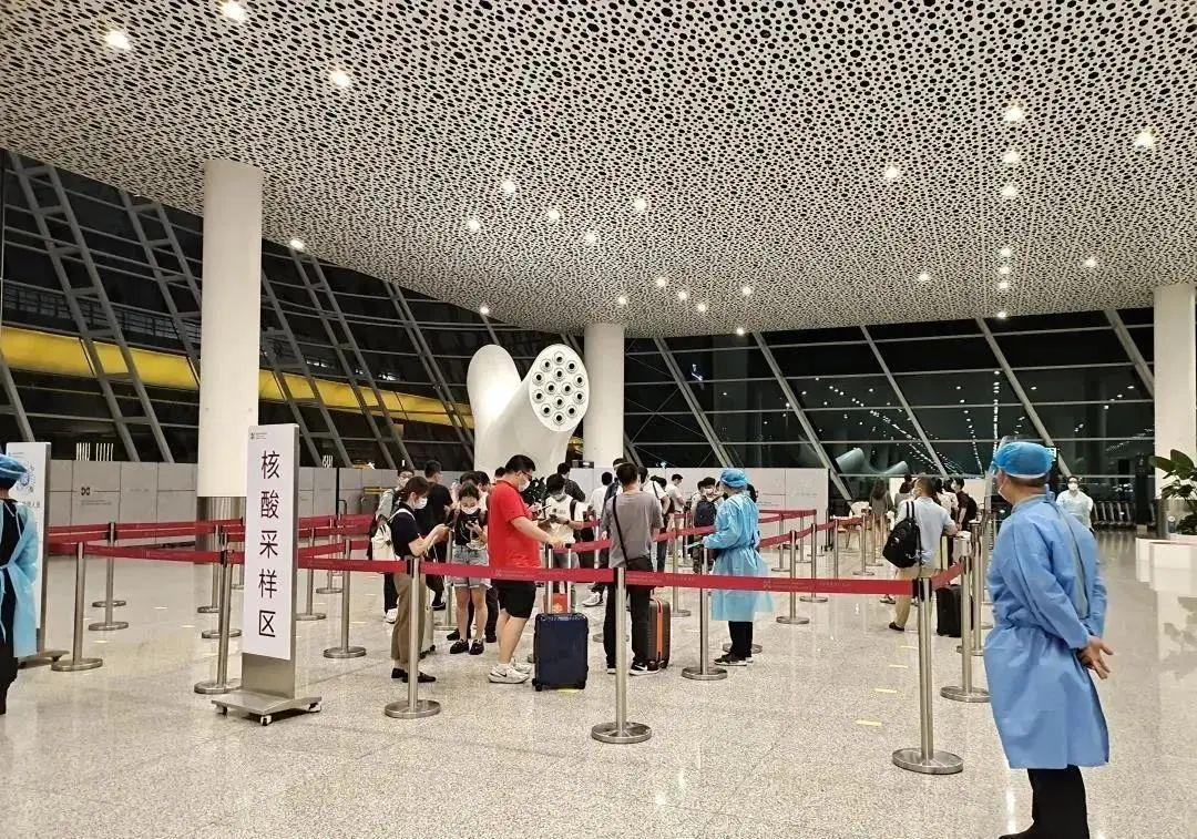 深圳机场的日常趣事与情感纽带，最新消息一览