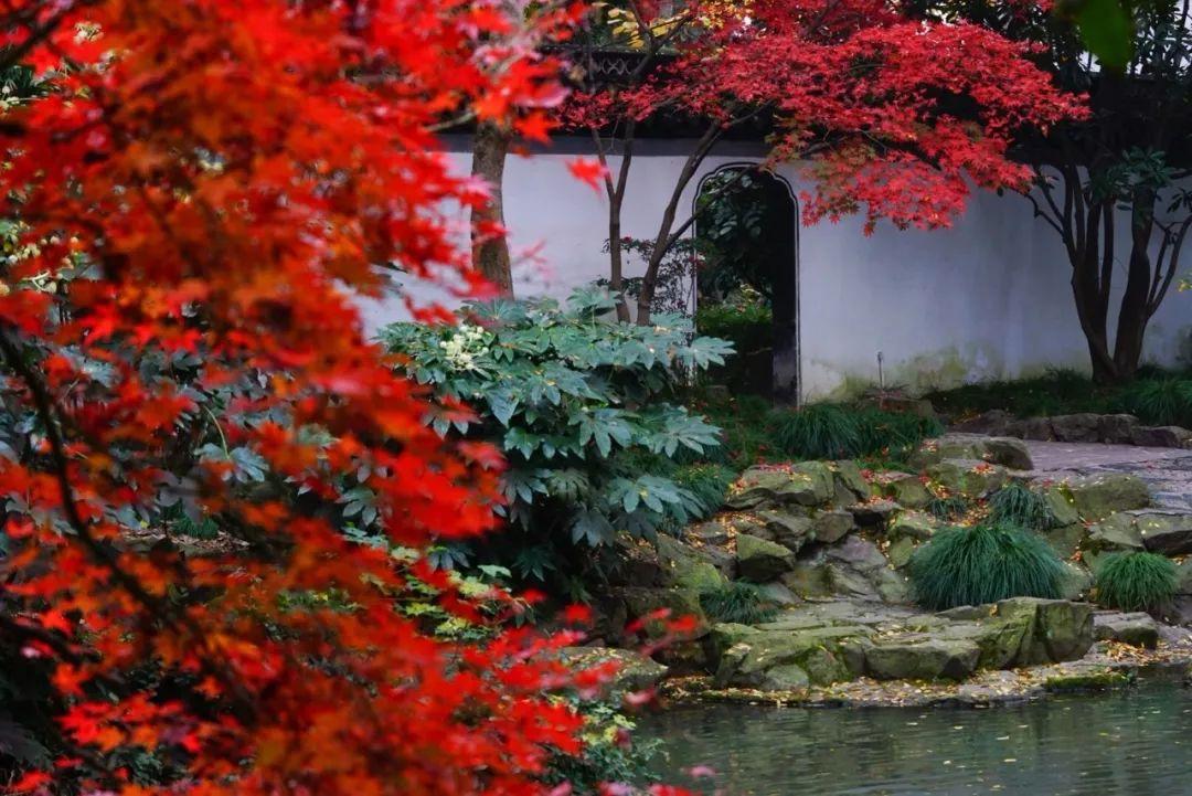 秋霞最新在线，自然美景的旅行探索之旅