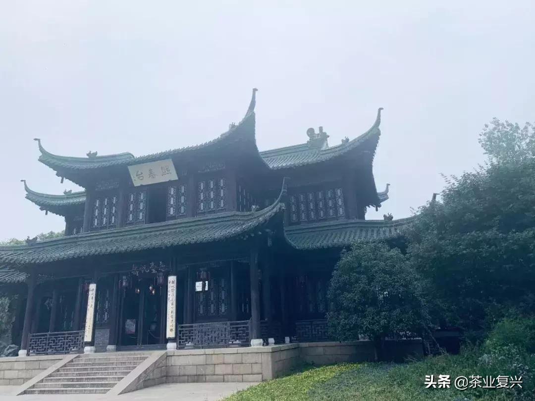 最新电影，多维视角下的文化现象探讨
