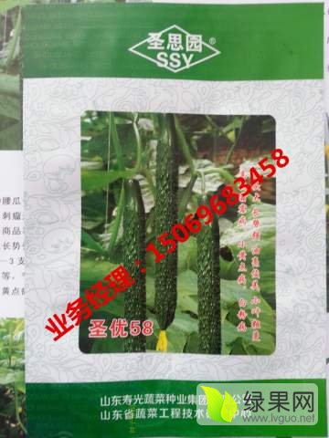 自然美景的旅行探索