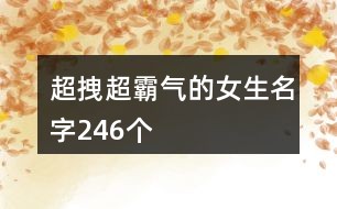 巷弄深处的独特风味，最新繁体网名集锦