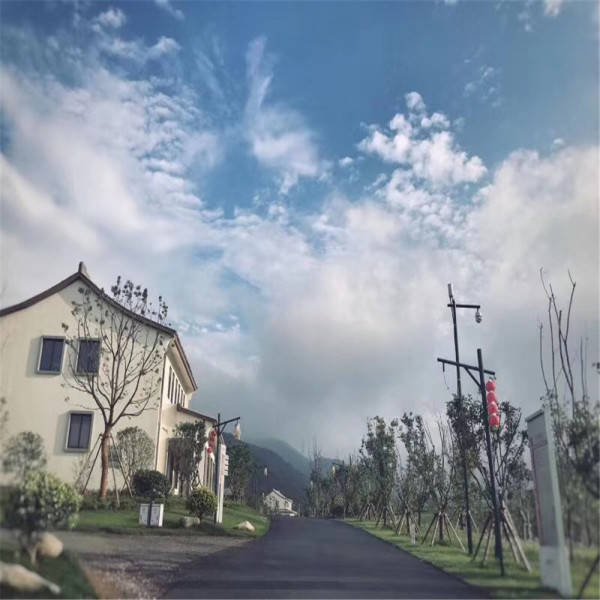 山西玉米最新价格详解与观点分享