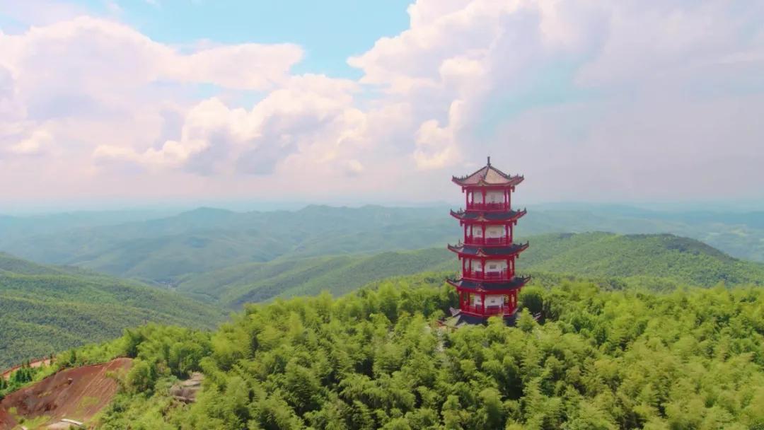 常宁最新新闻，拥抱自然，心灵宁静之旅启程