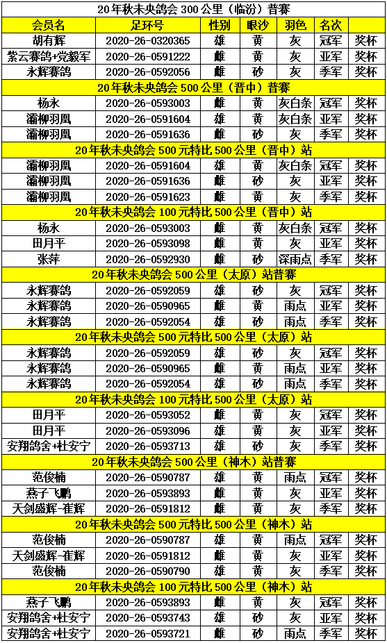 未央鸽会最新动态与小巷独特风味探秘揭秘