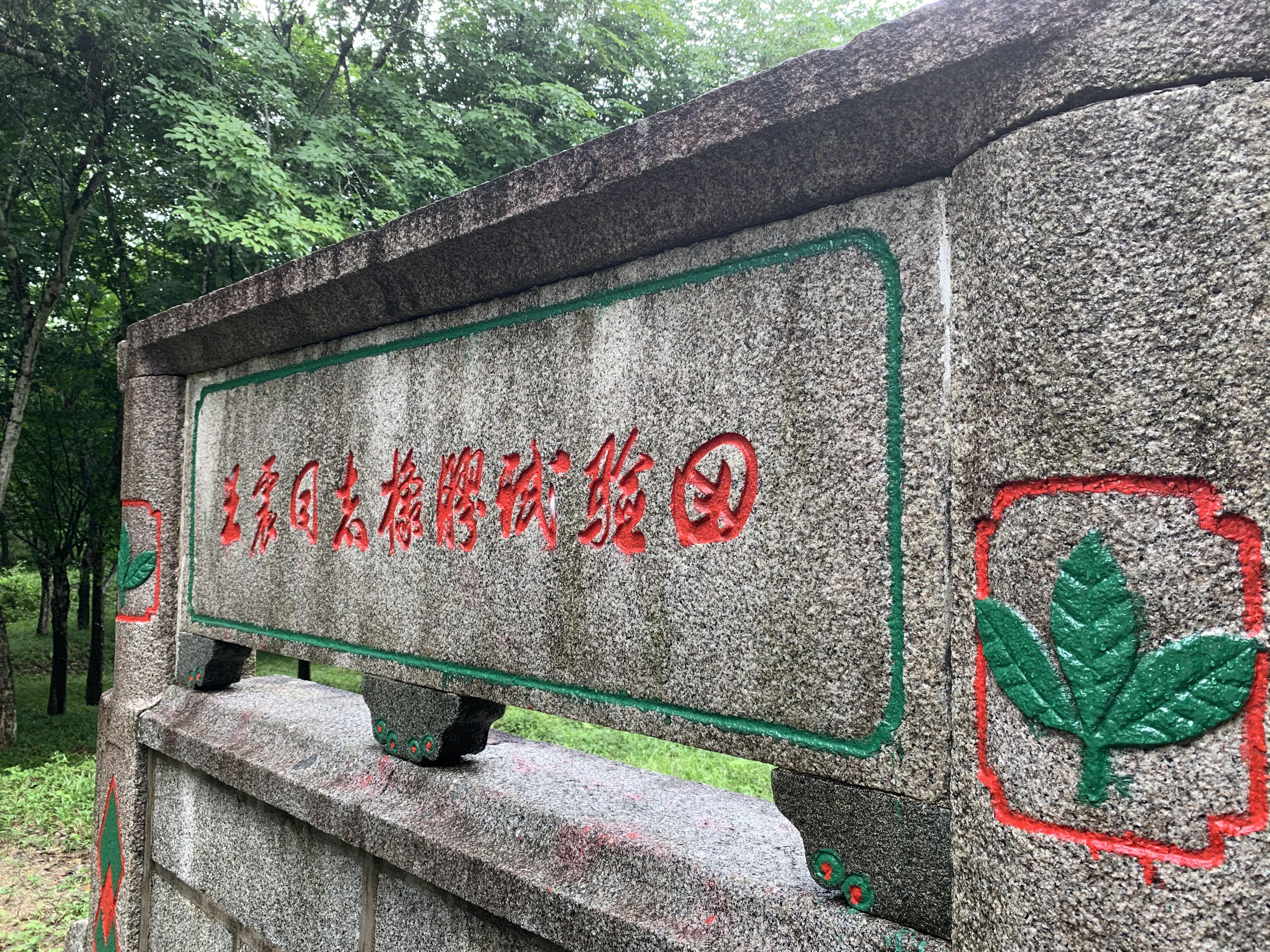 海南橡胶价格最新动态，科技与生活的无缝融合