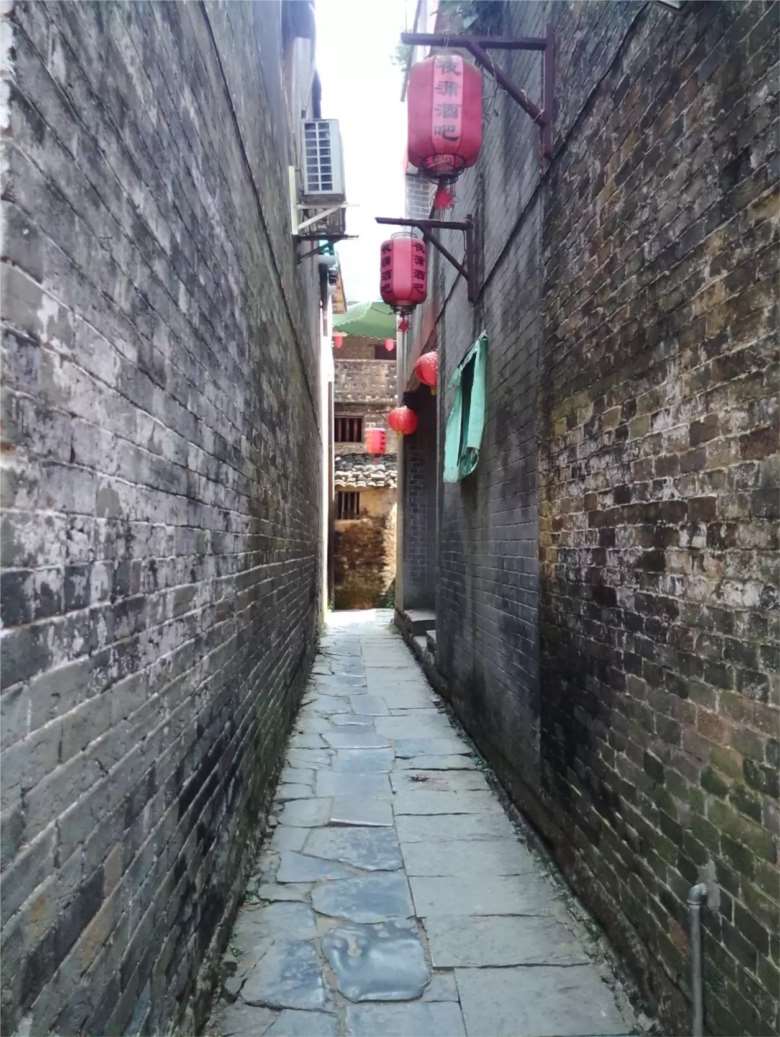 河源新闻最新消息,河源新闻最新消息，小巷深处的独特风味