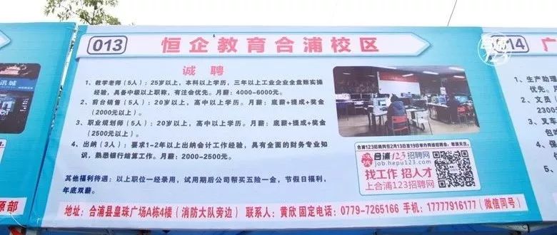 合浦招聘网最新招聘信息，开启职业新篇章！