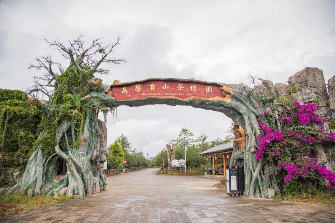 最新电影观看网站，自然美景的心灵之旅之旅