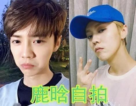 王俊凯星光璀璨，最新动态与时代影响力持续扩大