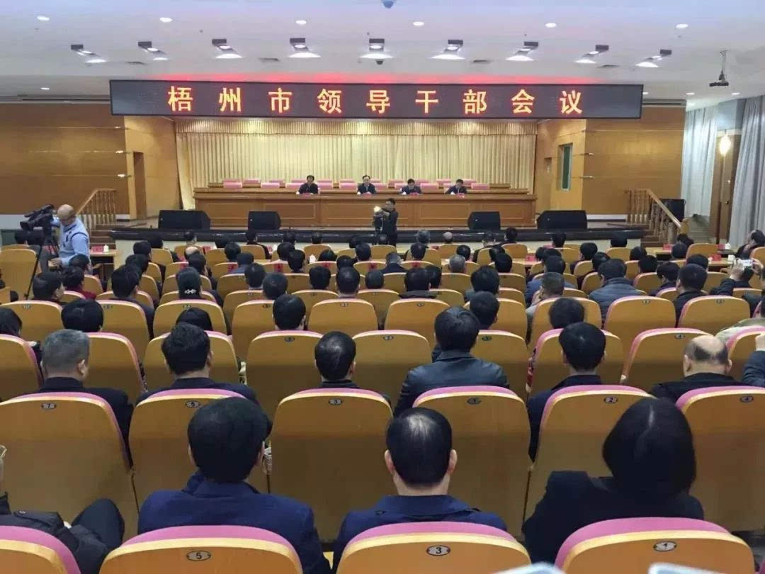 梧州市最新人事任免动态及观点论述