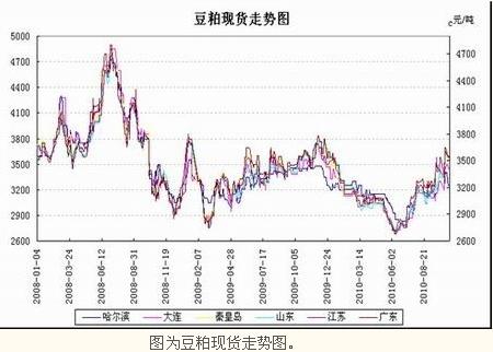 豆粕市场最新动态，走势分析及其影响