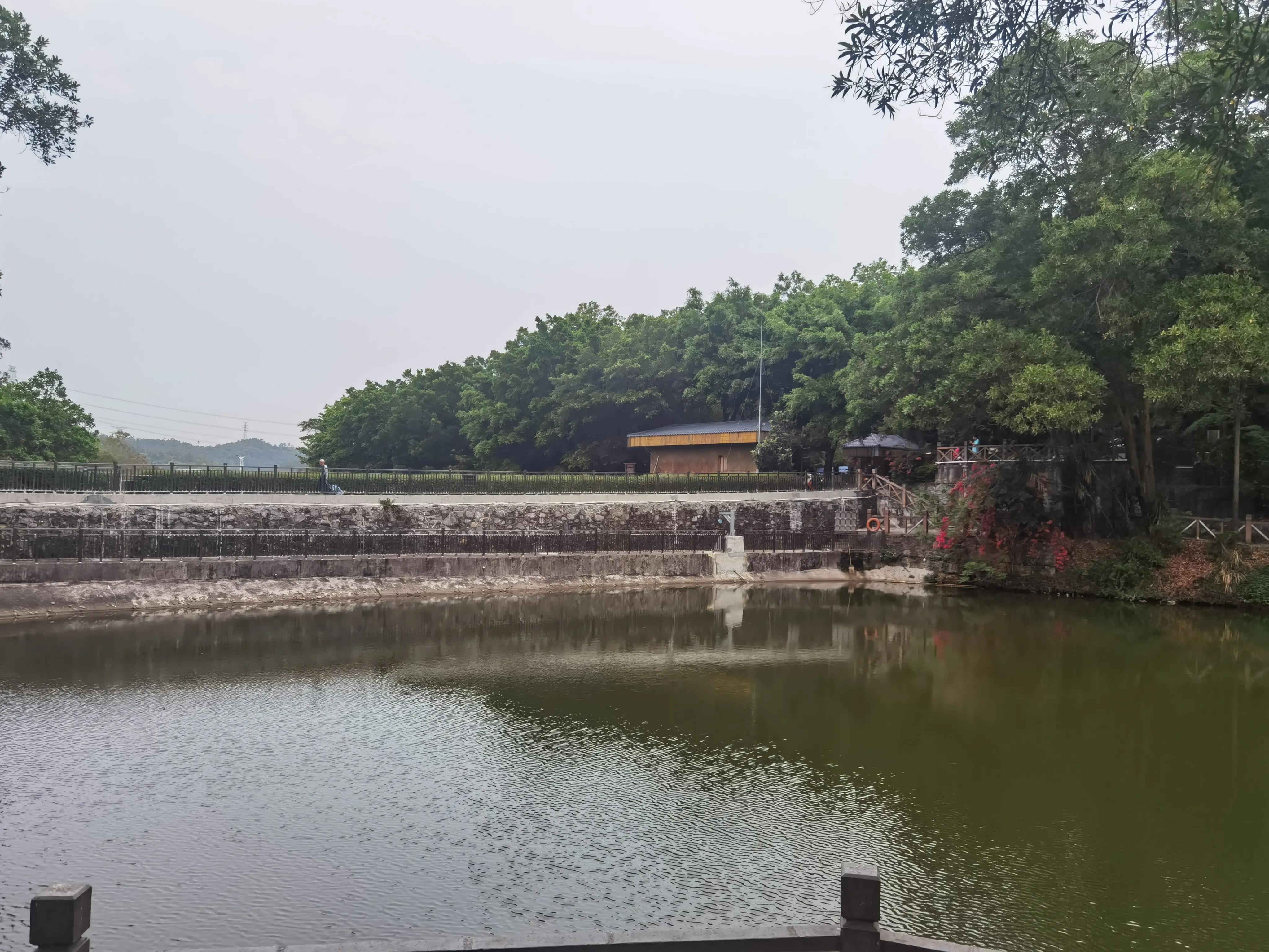 深圳入户政策最新解读，探索自然美景之旅的邀请函
