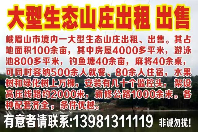 峨眉最新招聘信息概览及观点论述