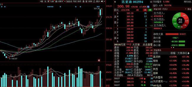 比亚迪股票最新动态揭秘，股市小探秘与温馨日常故事