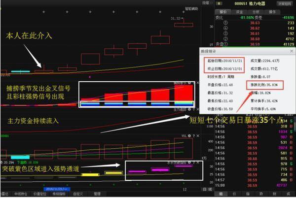 浙江东方股票最新动态，深度分析与观点阐述