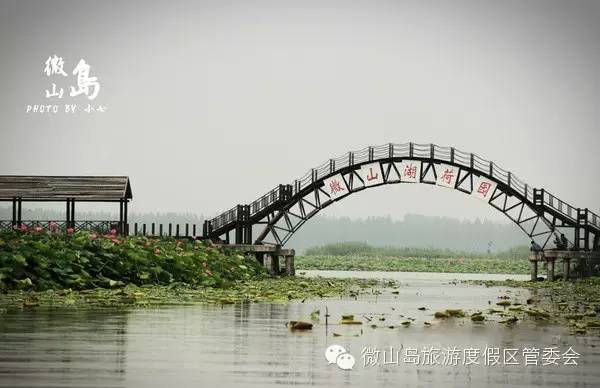 微山吧最新动态更新，最新消息汇总