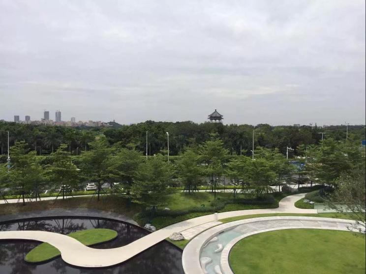 品实云湖花城，自然美景的探索之旅