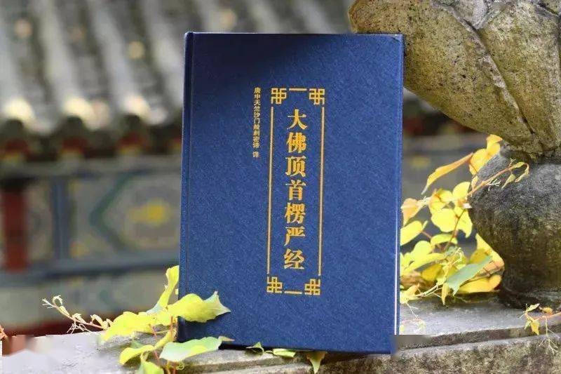最新东方心经，探索变化的力量与自信的魔法之道
