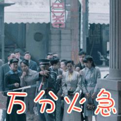 崖州区最新动态报道，带你领略最新新闻资讯！