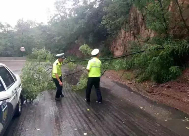 职务犯罪辩解 第96页