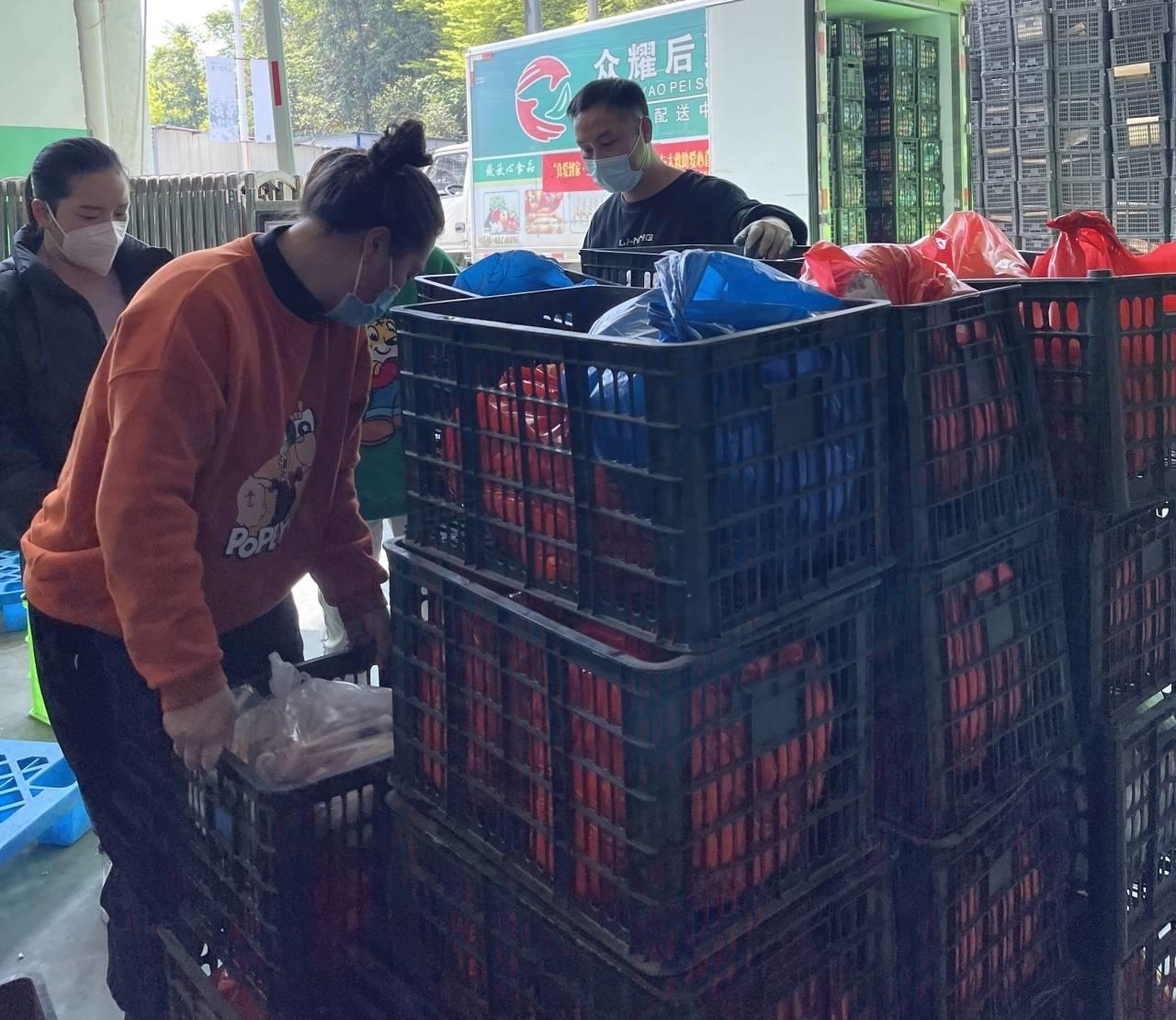 浙江最新肺炎疫情数据与巷弄深处的独特风味
