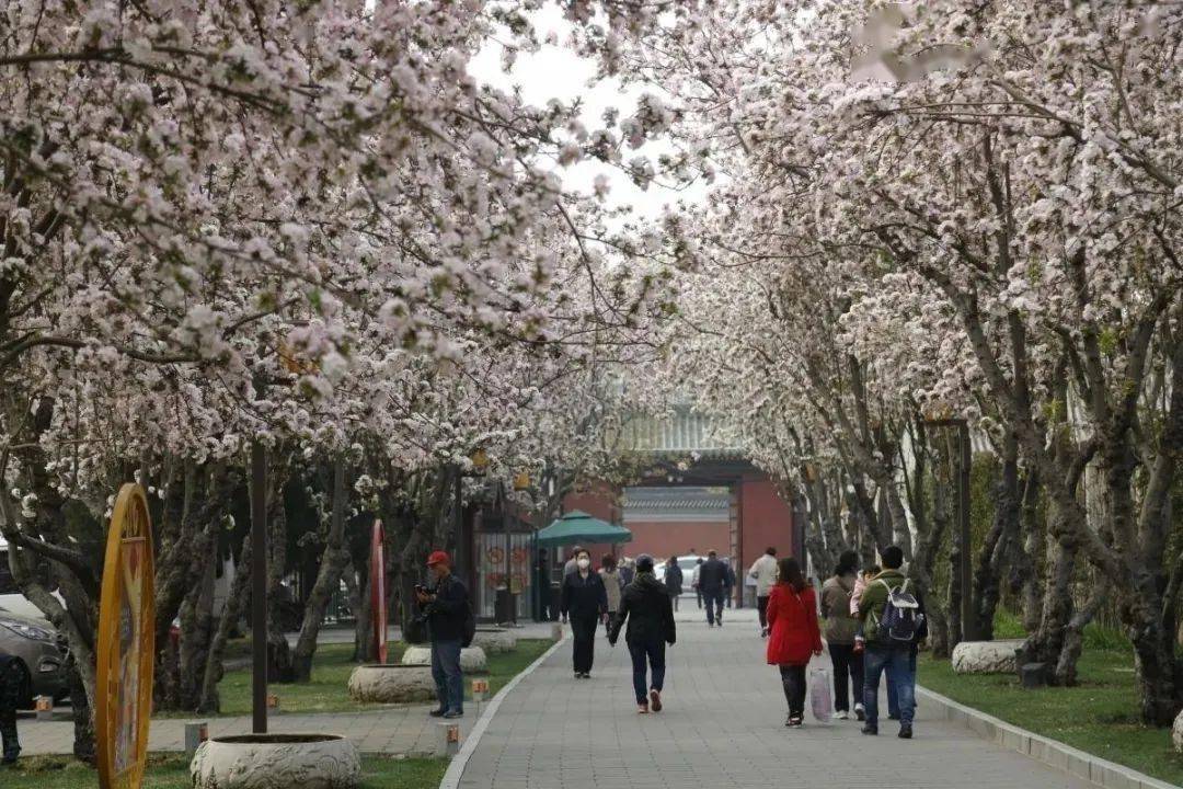 宿迁最新疫情旅游攻略，科技助力无忧出行，疫情下的科技之旅