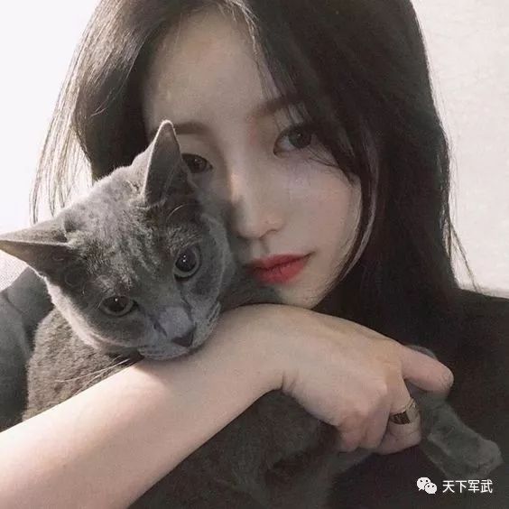 情侣头像抱着猫，小巷深处的特色小店浪漫瞬间