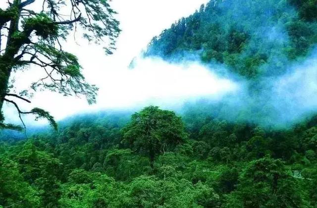 建议，相尺南最新番号揭秘，自然美景治愈之旅需谨慎。