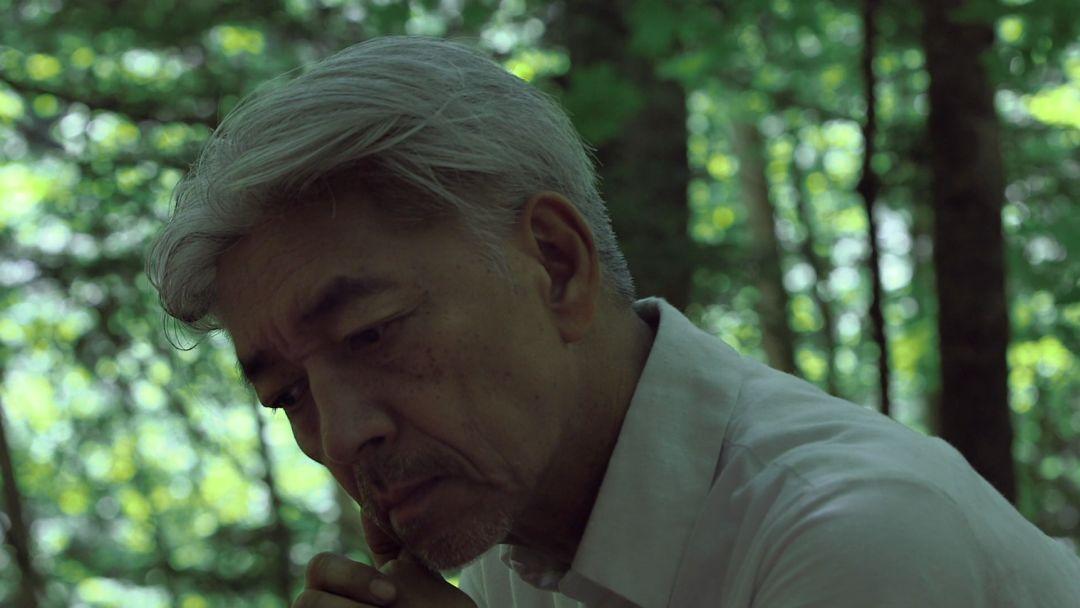 坂本龙一最新动态