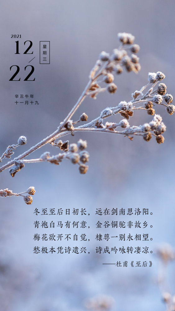 最新正能量话语引领你走向美好明天