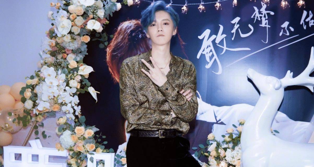 何玫瑰，演艺之路的闪耀之星