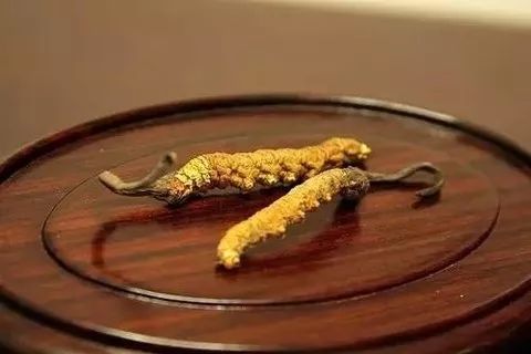 刑事辩解 第95页